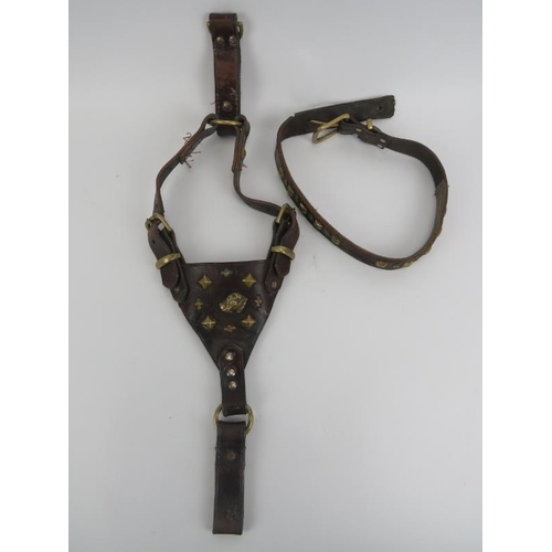 145 - A vintage leather and brass mounted bull dog harness and collar. Harness: 67 cm approximate length. ... 