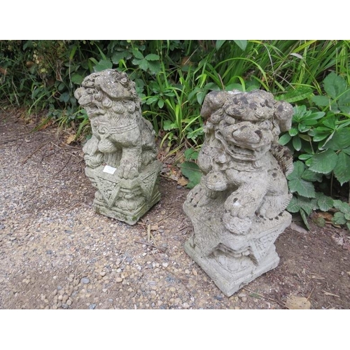 823 - A pair of weathered reconstituted stone garden ornaments modelled as Eastern temple lions on plinths... 