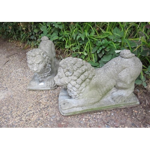 827 - A pair of weathered reconstituted stone lions passant, on plinth bases. 
H34cm W27cm D56cm (approx).... 