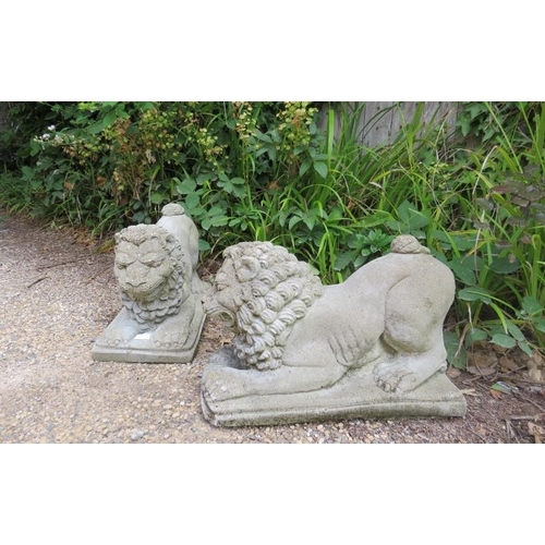 828 - A pair of weathered reconstituted stone lions couchant, on plinth bases. 
H34cm W27cm D56cm (approx)... 