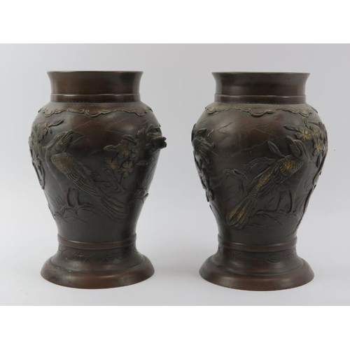 Lot 23        