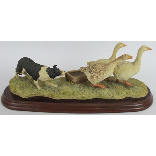 278 - A Border Fine Arts figure 'A Wild Goose Chase' in the form of a sheep dog rounding up geese. Boxed. ... 