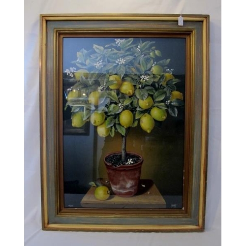 547 - Jose Escofet (Spanish b.1930) Lemon Tree and Orange Tree.  Signed JY Escofet lower right. 39/250 Wat... 