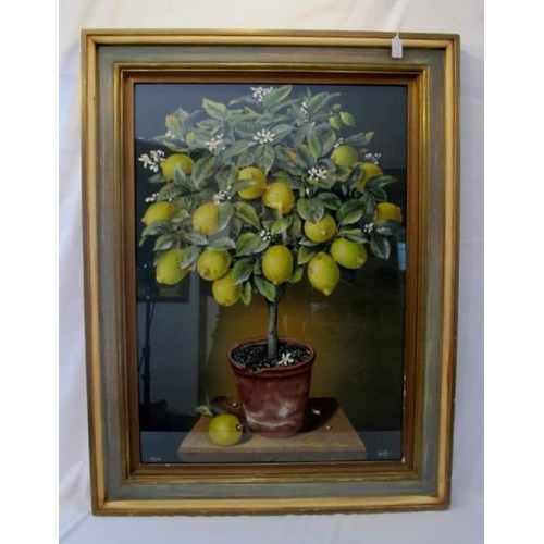 547 - Jose Escofet (Spanish b.1930) Lemon Tree and Orange Tree.  Signed JY Escofet lower right. 39/250 Wat... 