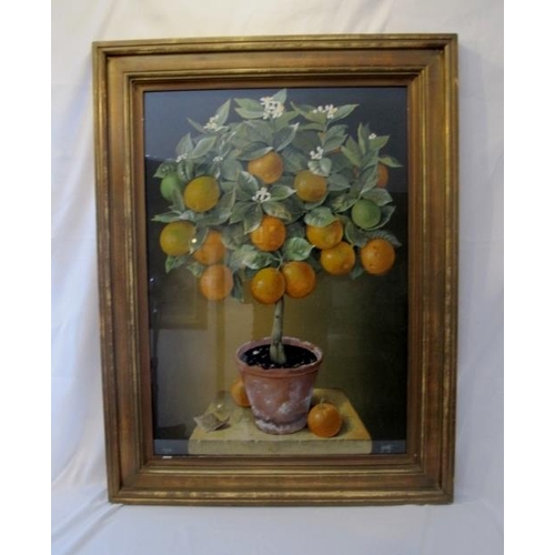 547 - Jose Escofet (Spanish b.1930) Lemon Tree and Orange Tree.  Signed JY Escofet lower right. 39/250 Wat... 