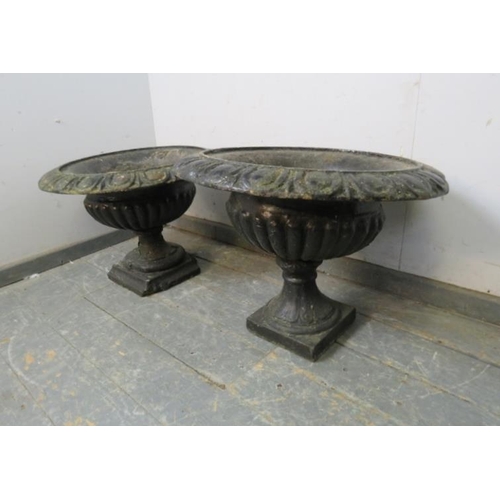 842 - A pair of 19th century fluted cast iron garden planters, the rims with egg and dart moulding, on ass... 