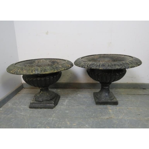 842 - A pair of 19th century fluted cast iron garden planters, the rims with egg and dart moulding, on ass... 