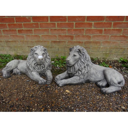 844 - A pair of well rendered reconstituted stone garden ornaments modelled as recumbent lions. 
H30cm W64... 