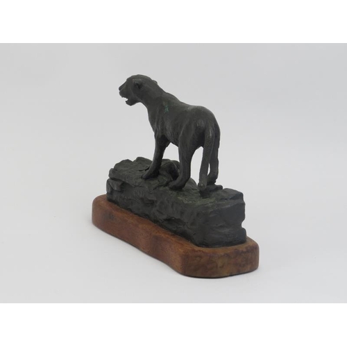 21 - A bronze sculptural figure of a panther, signed and dated. Mounted on a carved oak base. Signed by a... 