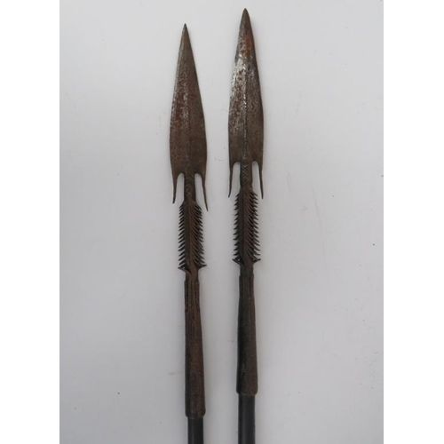 211 - Two vintage hunting spears. With steel spearheads and ebonised shafts. (2 items) 113 cm length, 112 ... 