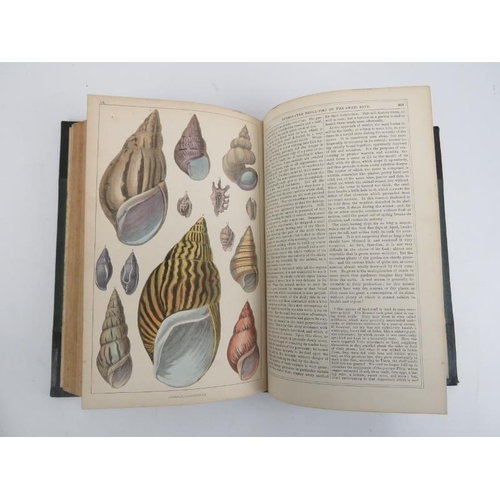 71 - Books: Oliver Goldsmith - ‘A History of The Earth and Animated Nature’, circa 1850s. Two volumes wit... 