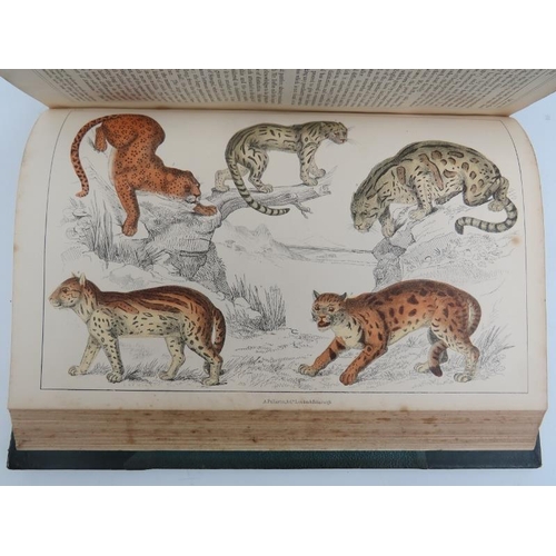 71 - Books: Oliver Goldsmith - ‘A History of The Earth and Animated Nature’, circa 1850s. Two volumes wit... 