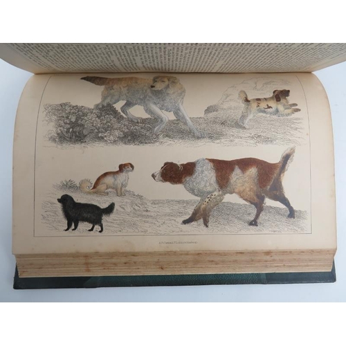 71 - Books: Oliver Goldsmith - ‘A History of The Earth and Animated Nature’, circa 1850s. Two volumes wit... 