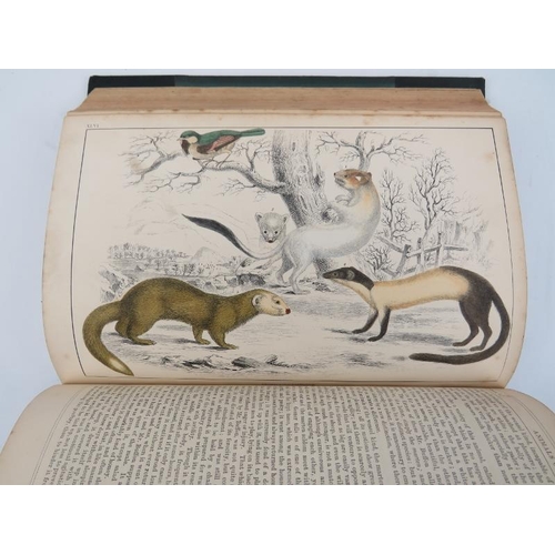 71 - Books: Oliver Goldsmith - ‘A History of The Earth and Animated Nature’, circa 1850s. Two volumes wit... 