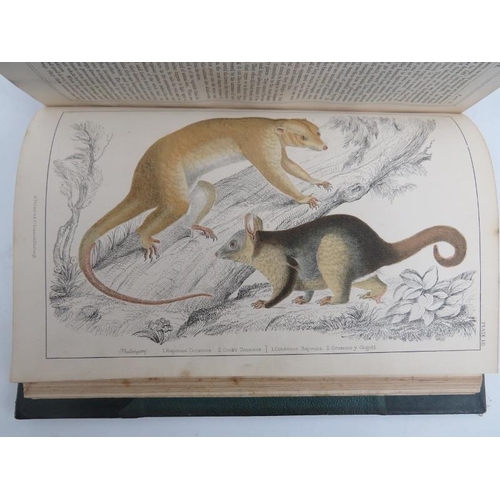 71 - Books: Oliver Goldsmith - ‘A History of The Earth and Animated Nature’, circa 1850s. Two volumes wit... 