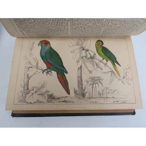 71 - Books: Oliver Goldsmith - ‘A History of The Earth and Animated Nature’, circa 1850s. Two volumes wit... 