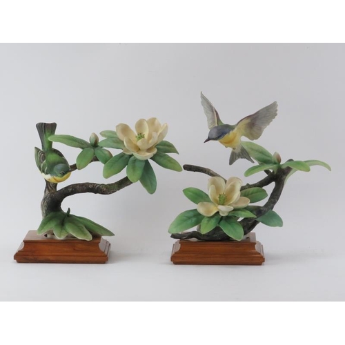 139 - A rare pair of Royal Worcester ‘Parula Warblers & Sweet Bay’ porcelain bird models, late 1950s. Hand... 