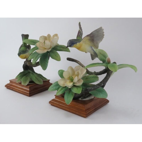 139 - A rare pair of Royal Worcester ‘Parula Warblers & Sweet Bay’ porcelain bird models, late 1950s. Hand... 