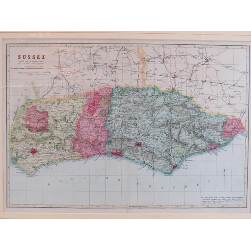 228 - A group of maps of depicting Sussex, Surrey and The Environs of London, 19th/early 20th century. (8 ... 