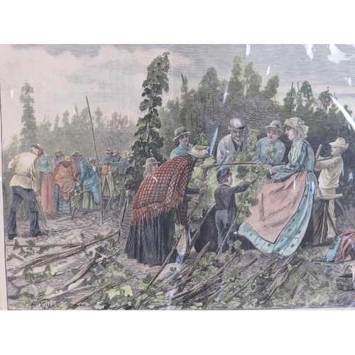 39 - A group of nine Victorian hand coloured engravings depicting hop picking related scenes in England. ... 