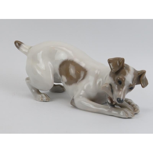 52 - A Royal Copenhagen porcelain figure of a dog chewing on a bone. Model number: 1452-704. 23 cm length... 