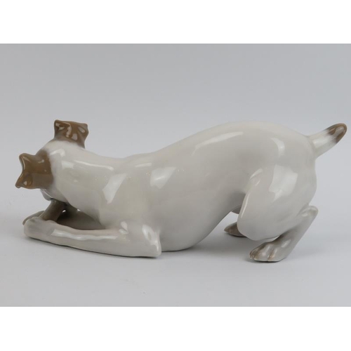 52 - A Royal Copenhagen porcelain figure of a dog chewing on a bone. Model number: 1452-704. 23 cm length... 