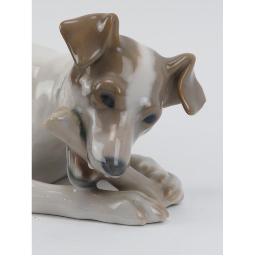 52 - A Royal Copenhagen porcelain figure of a dog chewing on a bone. Model number: 1452-704. 23 cm length... 