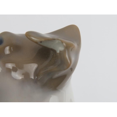 52 - A Royal Copenhagen porcelain figure of a dog chewing on a bone. Model number: 1452-704. 23 cm length... 