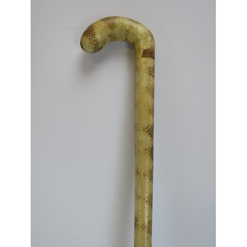 181A - An antique snakes skin walking cane, 19th/early 20th century. 90.8 cm length.
Condition report: Ligh... 