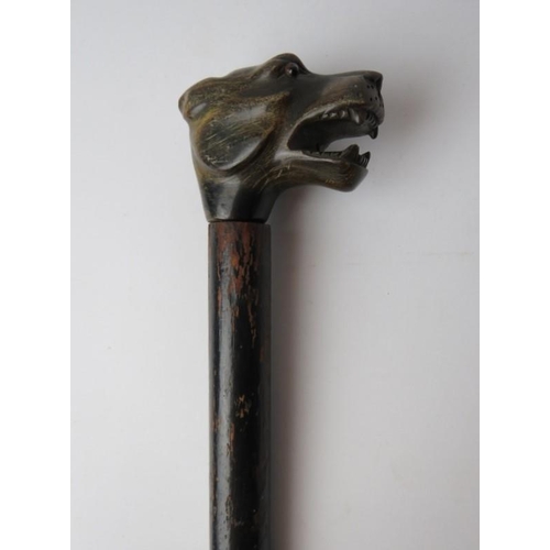 182 - An antique hounds head carved horn walking cane, 19th century. With tapered ebonised shaft. 97 cm le... 