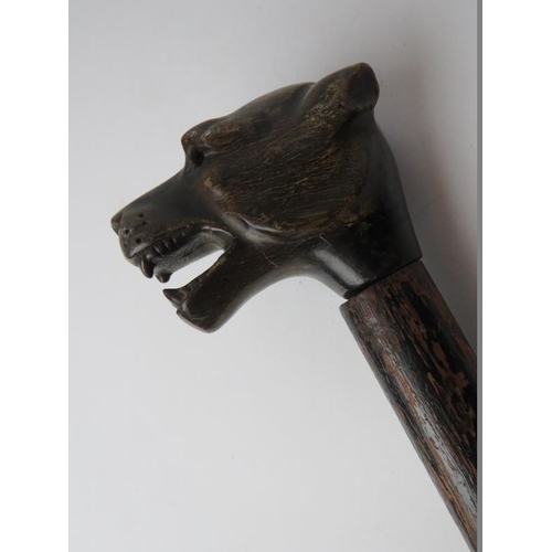 182 - An antique hounds head carved horn walking cane, 19th century. With tapered ebonised shaft. 97 cm le... 