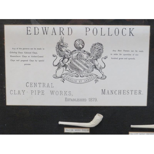 28 - A large framed and glazed wall display depicting examples of Edward Pollock’s clay pipes produced at... 