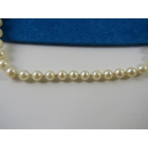 484 - A cultured pearl necklace, pearls 5.50-6mm, 43mm long with a ball clasp  stamped 375 in a David Morr... 