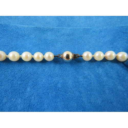 484 - A cultured pearl necklace, pearls 5.50-6mm, 43mm long with a ball clasp  stamped 375 in a David Morr... 