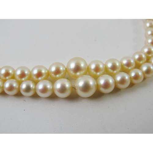 498 - A double string cultured pearl necklace with 9ct gold clasp, fully hallmarked for London 1986. Lengt... 