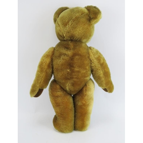 5 - A large vintage Pedigree golden mohair teddy bear, early/mid 20th century. With internal bells to ea... 