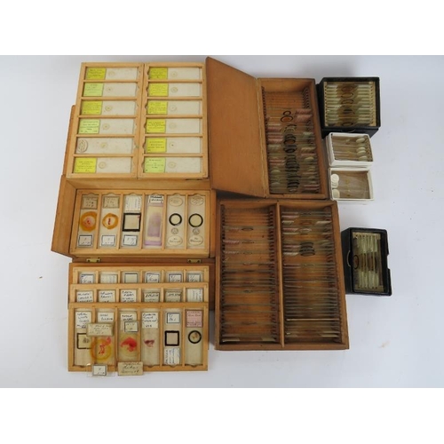 93 - A large collection of biological specimen glass slides and photographic slides, 19th century and lat... 