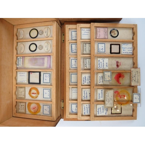 93 - A large collection of biological specimen glass slides and photographic slides, 19th century and lat... 