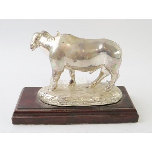 353 - A South African 'Afrisilver' white metal model of a water buffalo on wood plinth.  Model marked STER... 