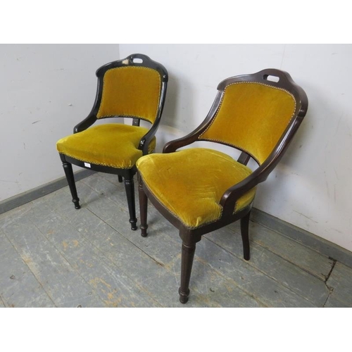 807 - A matched pair of ebonised salon chairs, upholstered in mustard velour with brass studs, on tapered ... 