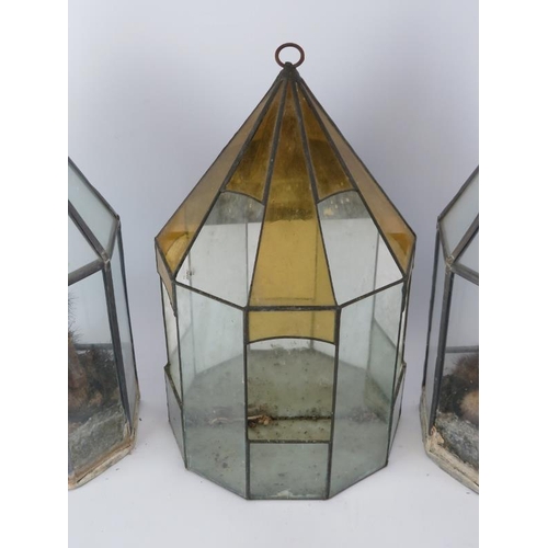 216 - Three vintage glass terrariums. (3 items) 40 cm tallest height.
Condition report: Light age related ... 