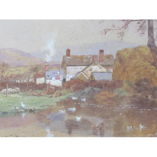 573 - N Snape framed and glazed watercolour country scene with ducks on a pond.  26cm x 36cm (approx).
Con... 