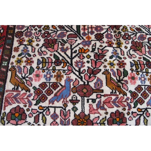 867 - North West Persian Rudbar rug. Another good rug with a central panel depicting birds in trees, on cr... 