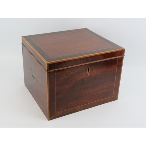 Lot 56        