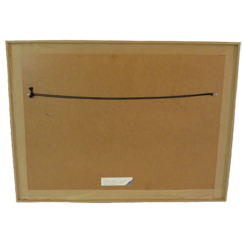 520 - Graham Clarke 1941.  A framed and glazed etching/aquatint 'The Green Man' 31/100 signed in pencil.
C... 