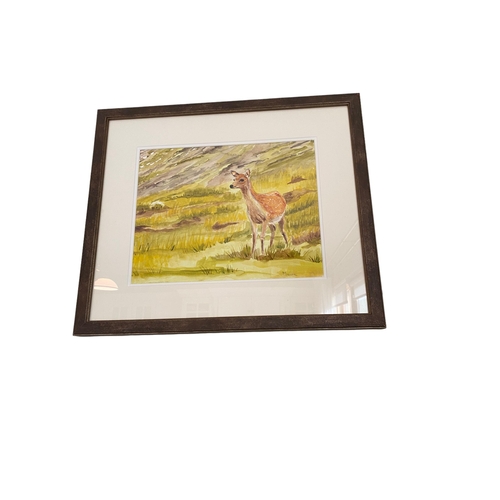 46 - Maura McAuliffe ' Deer in Glendalough'
43cm x 37 including frame