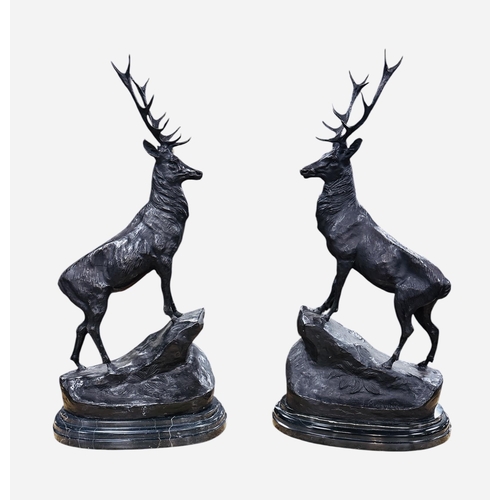 266 - Pair of Bronze Signed Stags on Marble Base 
40cm W 75cm H