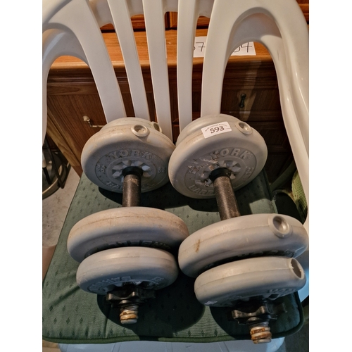 593 - Pair of dumbells