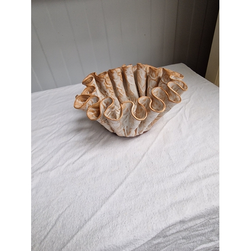 8 - Handmade Cornish Seashell bowl