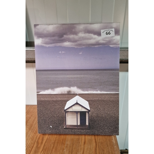 66 - Canvas of 'The Seagull' print by Gil Copelane 30x40 cm